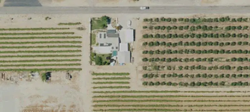 Fenced Farm Property with Orange Grove