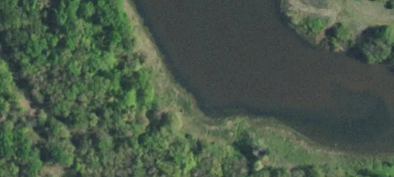 Wooded Land Parcel
