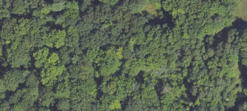 Land / Lot