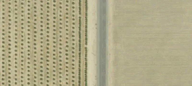 Almond Farm with Irrigated Land