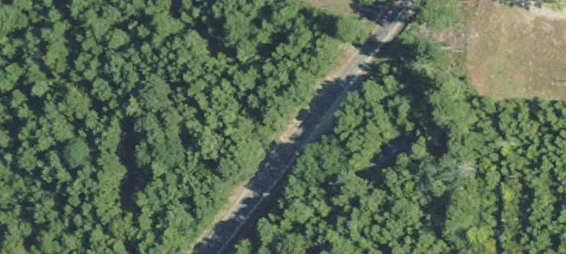 Timbered Hunting Land with Cabin