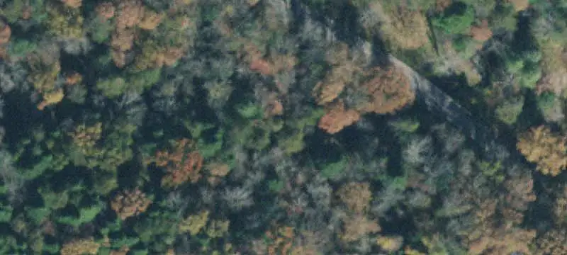 Wooded Land Parcel