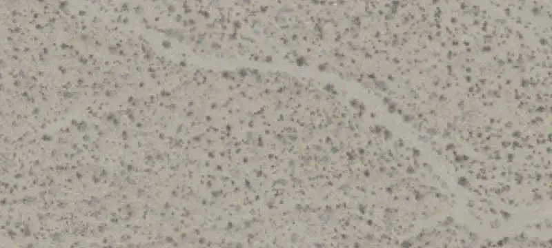 Vacant Desert Land