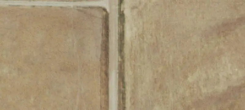 Irrigated Agricultural Land