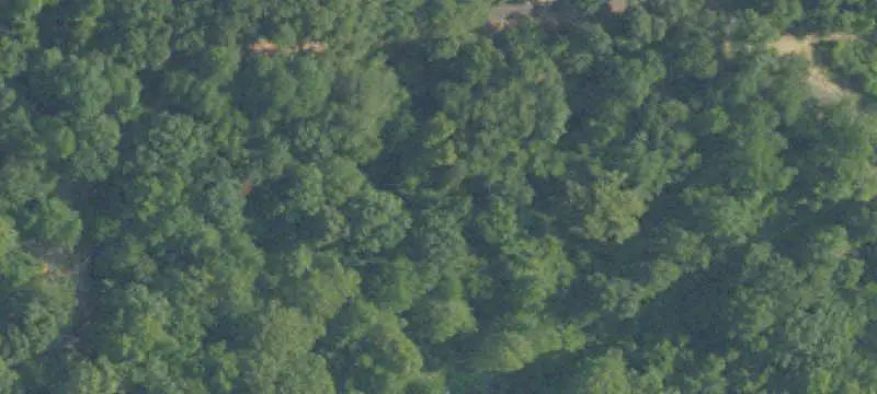 Waterfront Land Near Alabama River