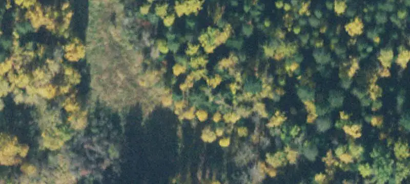 Agricultural Land with Timber