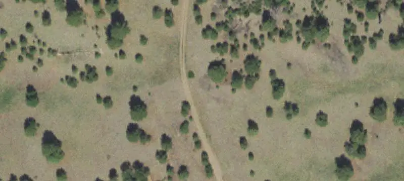 Fenced Agricultural Land