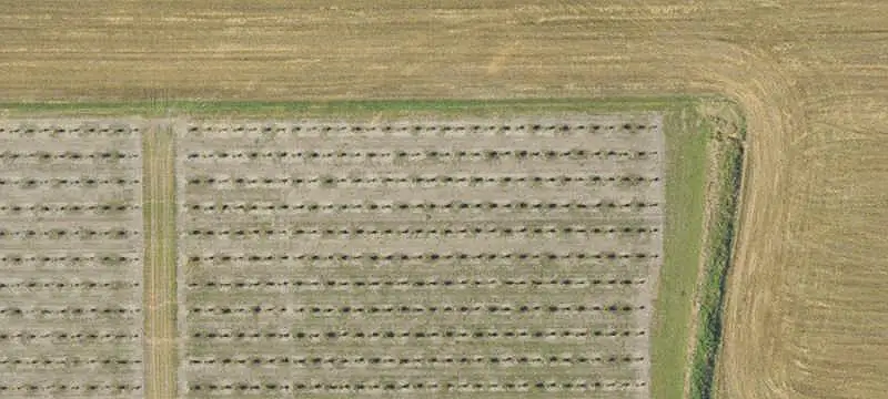 Irrigated Farm With Center Pivot