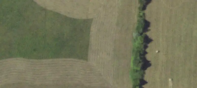 Farm with Barn