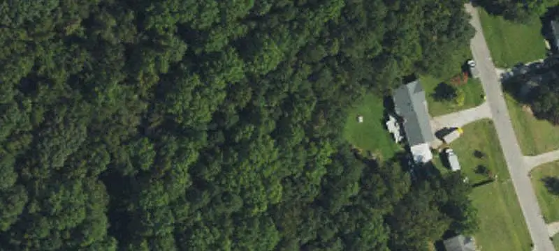 Wooded Agricultural Land