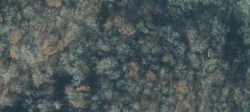 Hunting Land with Hardwood Timber
