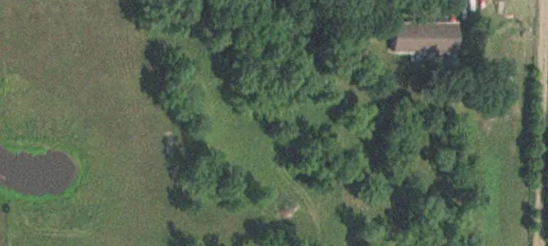Managed Hunting Land with Shop