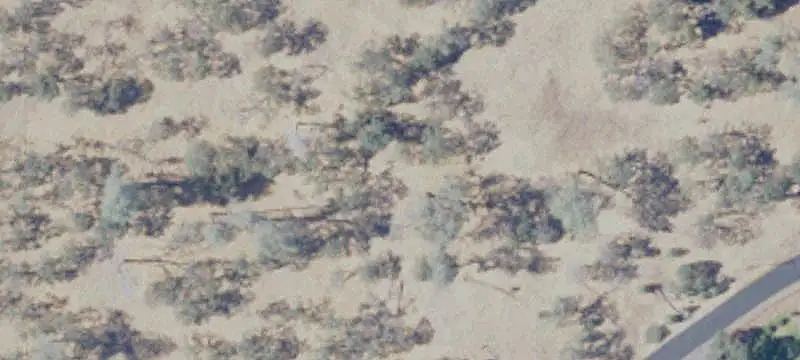 Specialty Property with Pasture
