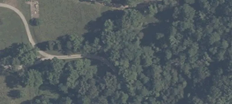 Wooded Hunting Land