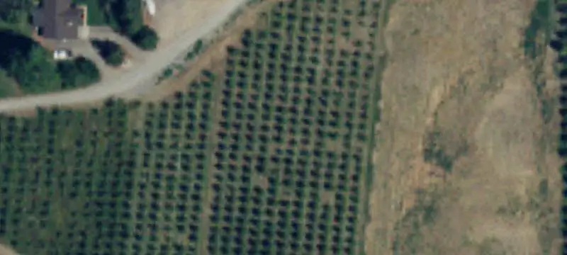 Commercial Land