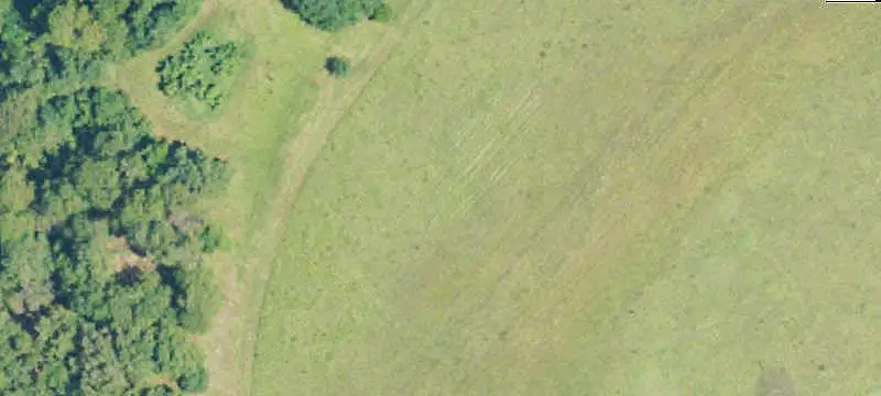 Managed Hunting Land with Timber