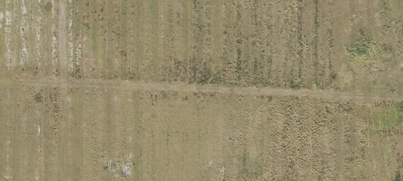 Agricultural Farm with Storage Buildings