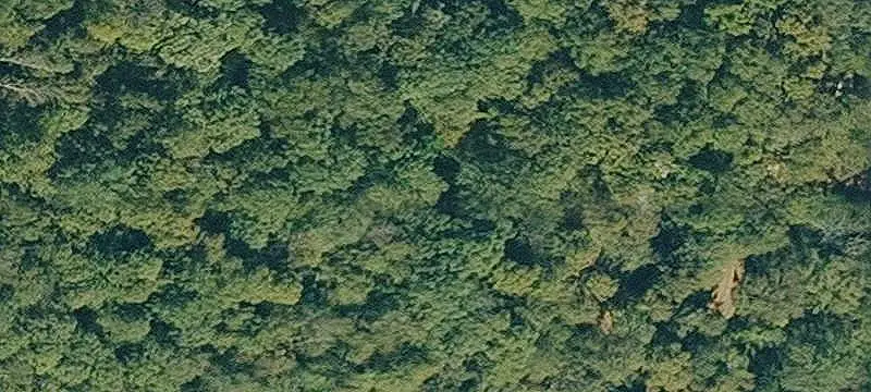Vacant Land