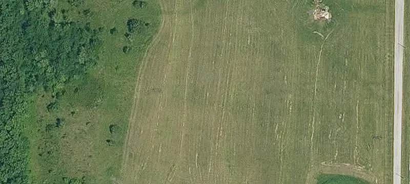 Wooded Hunting Land