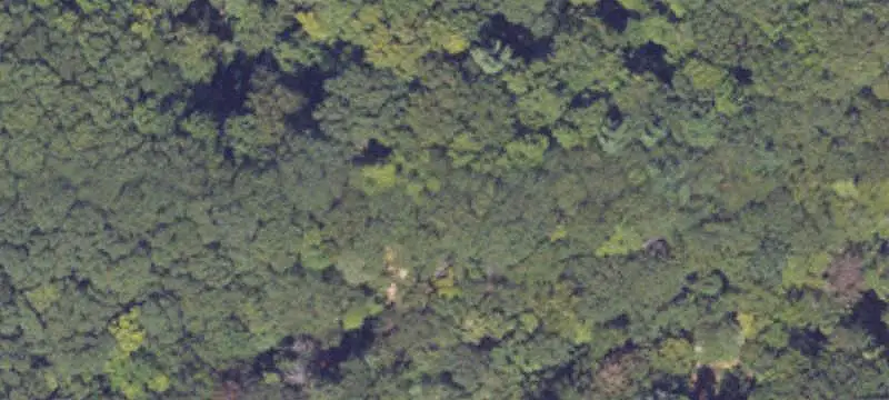 Land / Acreage