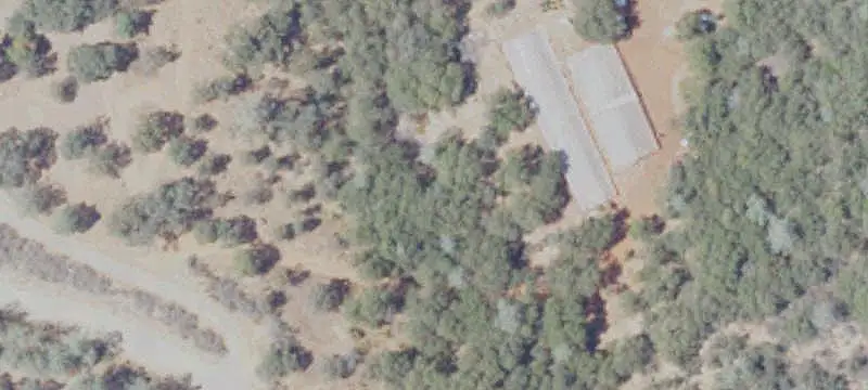 Agricultural Land with Mature Trees