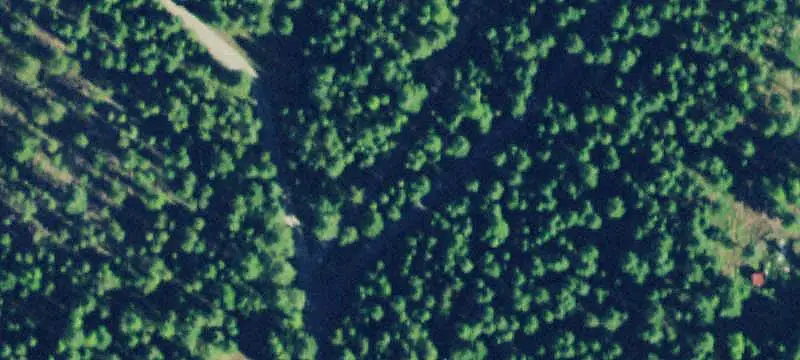 Wooded Recreation Land