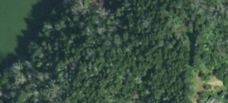 Lakefront Land
