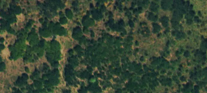 Land