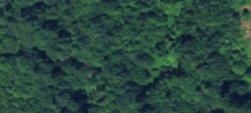 Land/Lot