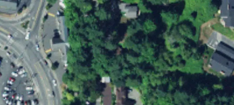 Undeveloped Land