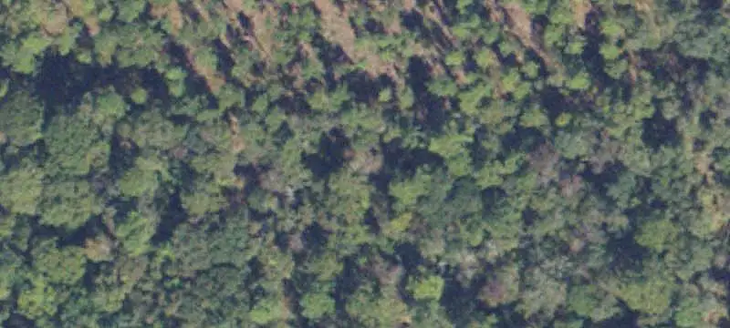 Riverfront Agricultural Land