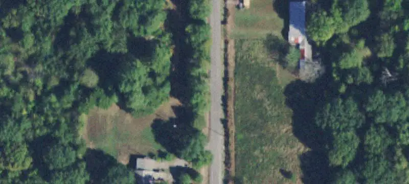 Wooded Hunting Land