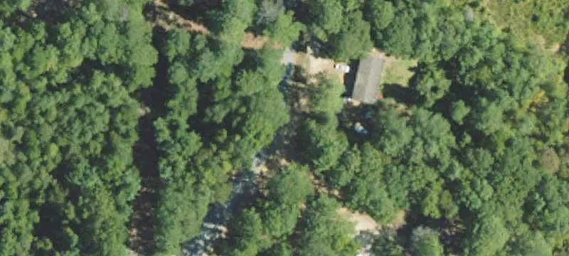 20-Acre Pine Hunting Land