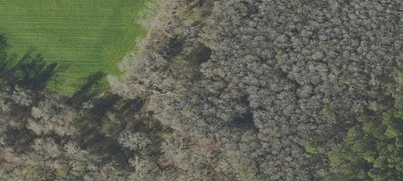Unimproved Land