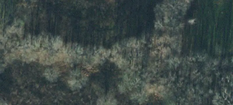 Fenced Hunting Land with Ponds