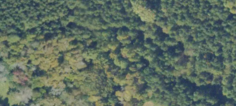 Lot 8 Millville Rd, Lawrenceville, VA 23868