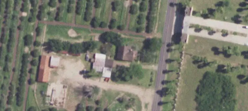 Agricultural Land with Orchard