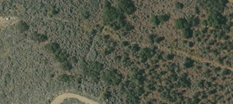 Undeveloped Mountain Land Parcel