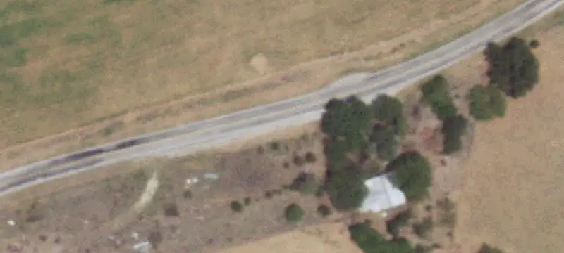 Agricultural Land with Pecan Trees