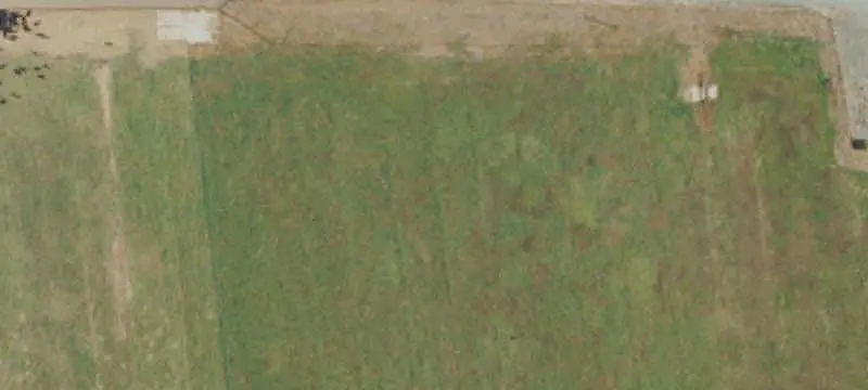Irrigated Pasture Farm