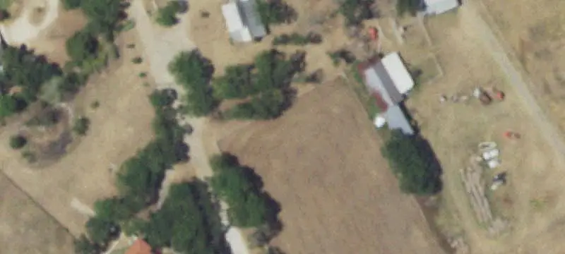 Wooded Pasture Farmland