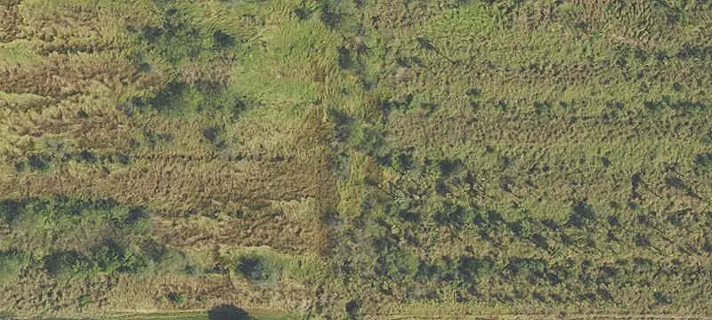 Cleared Agricultural Land