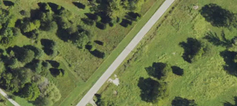 Wooded Hunting Land