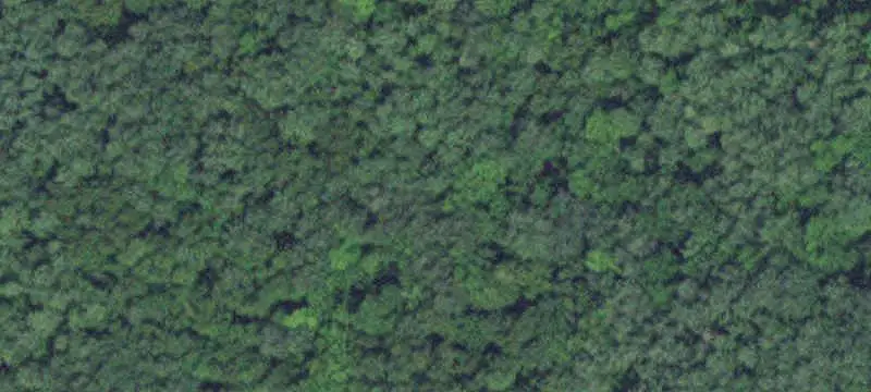 Waterfront Land Parcel
