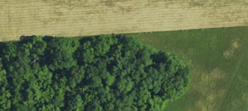 Farm with Livestock Facilities