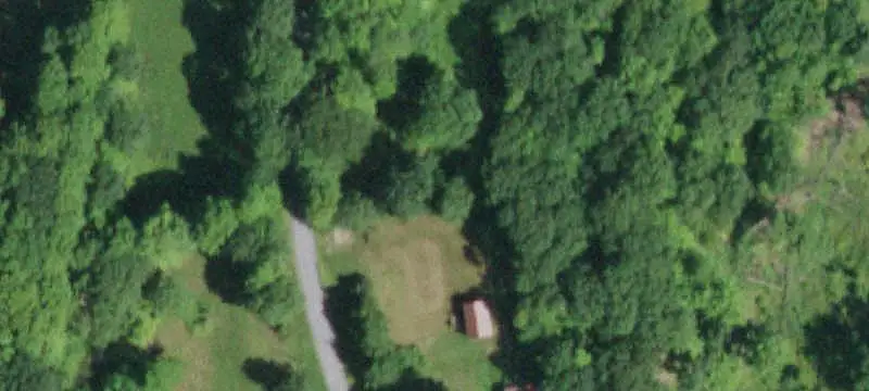 Forest Land with Road Frontage
