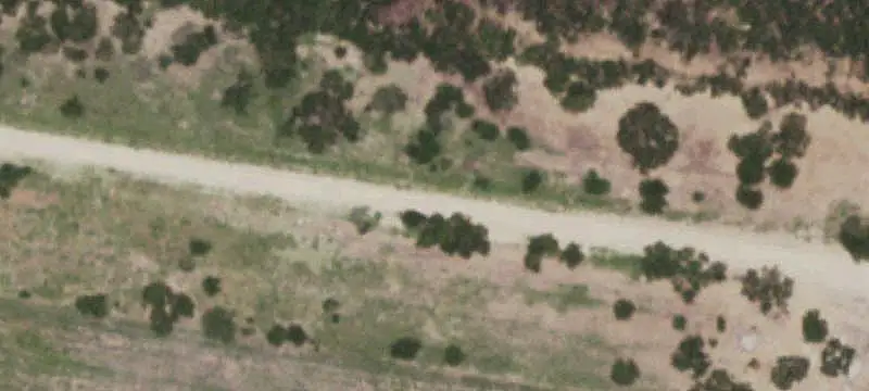 Farm Property with Livestock