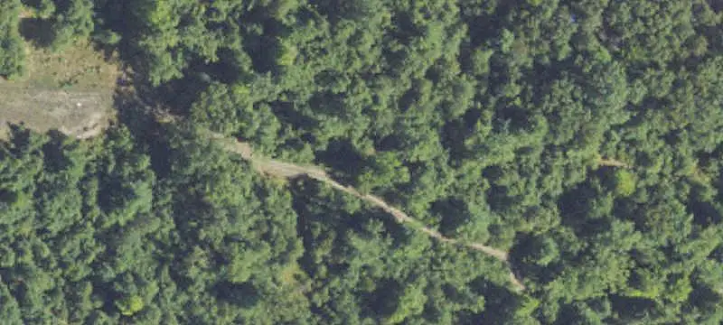 Wooded Commercial Land with Building