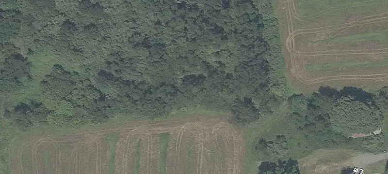 Preserved Farm With Cottage