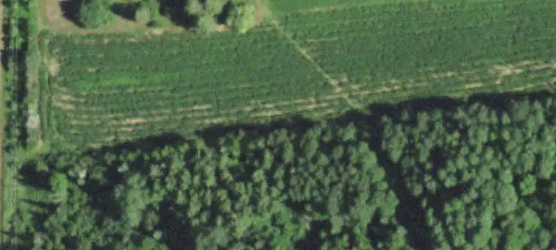 Hunting Land with Farmhouse